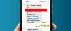 Cara Daftar SMS Banking BRI