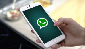 Cara Download Video di WhatsApp