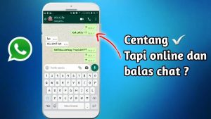 Cara WhatsApp Centang Satu Tapi Online Tanpa Aplikasi