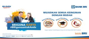 Tabel Angsuran Briguna Karya