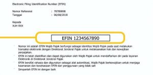 Cara Mendapatkan EFIN Pajak