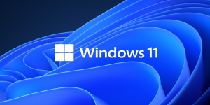 Cara Update Windows 11