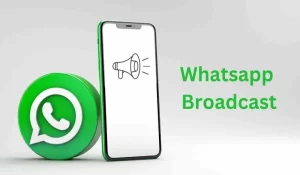 Cara Broadcast WhatsApp Tanpa Save Nomor