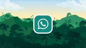 Cara Download GB WhatsApp Pro