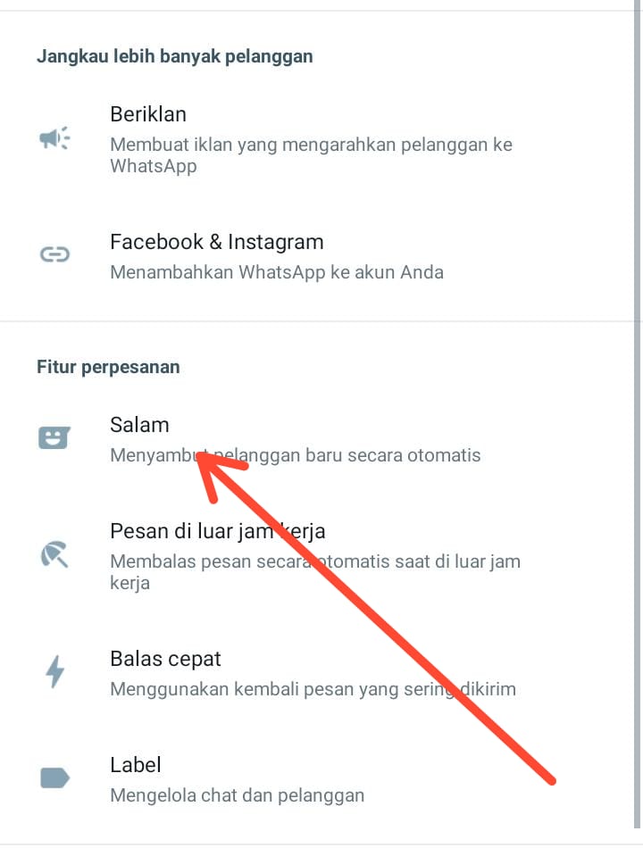 Cara Kirim Pesan Otomatis di WhatsApp